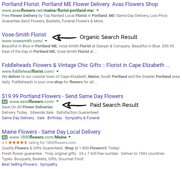 example of organic search result vs paid