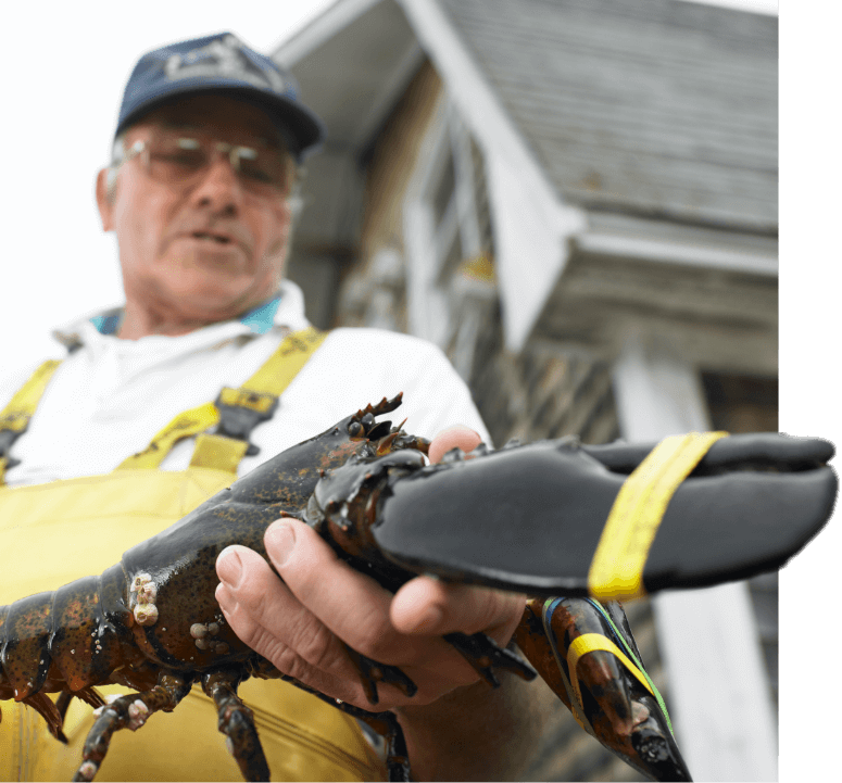 Man holding lobster