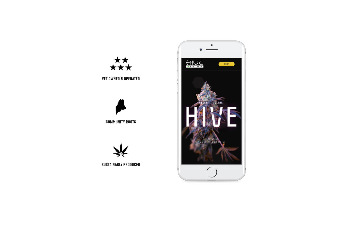 Hive Medicinal Icons & Mobile Device