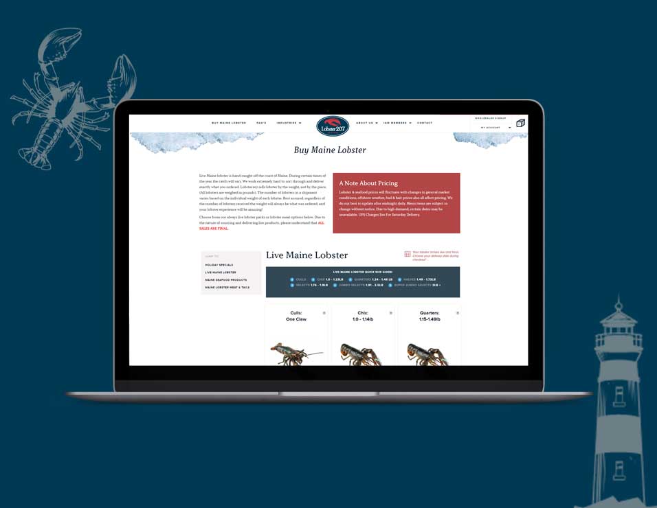 Lobster 207 website design on computer